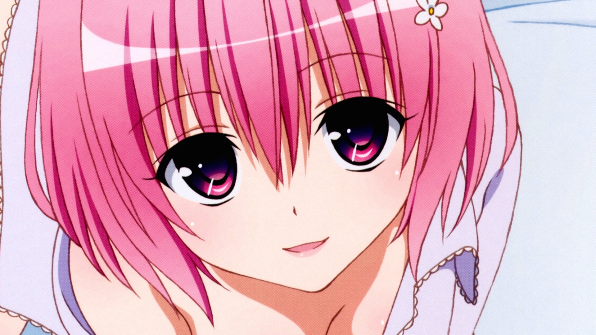 Qué pasó con To LOVE-Ru? | SomosKudasai