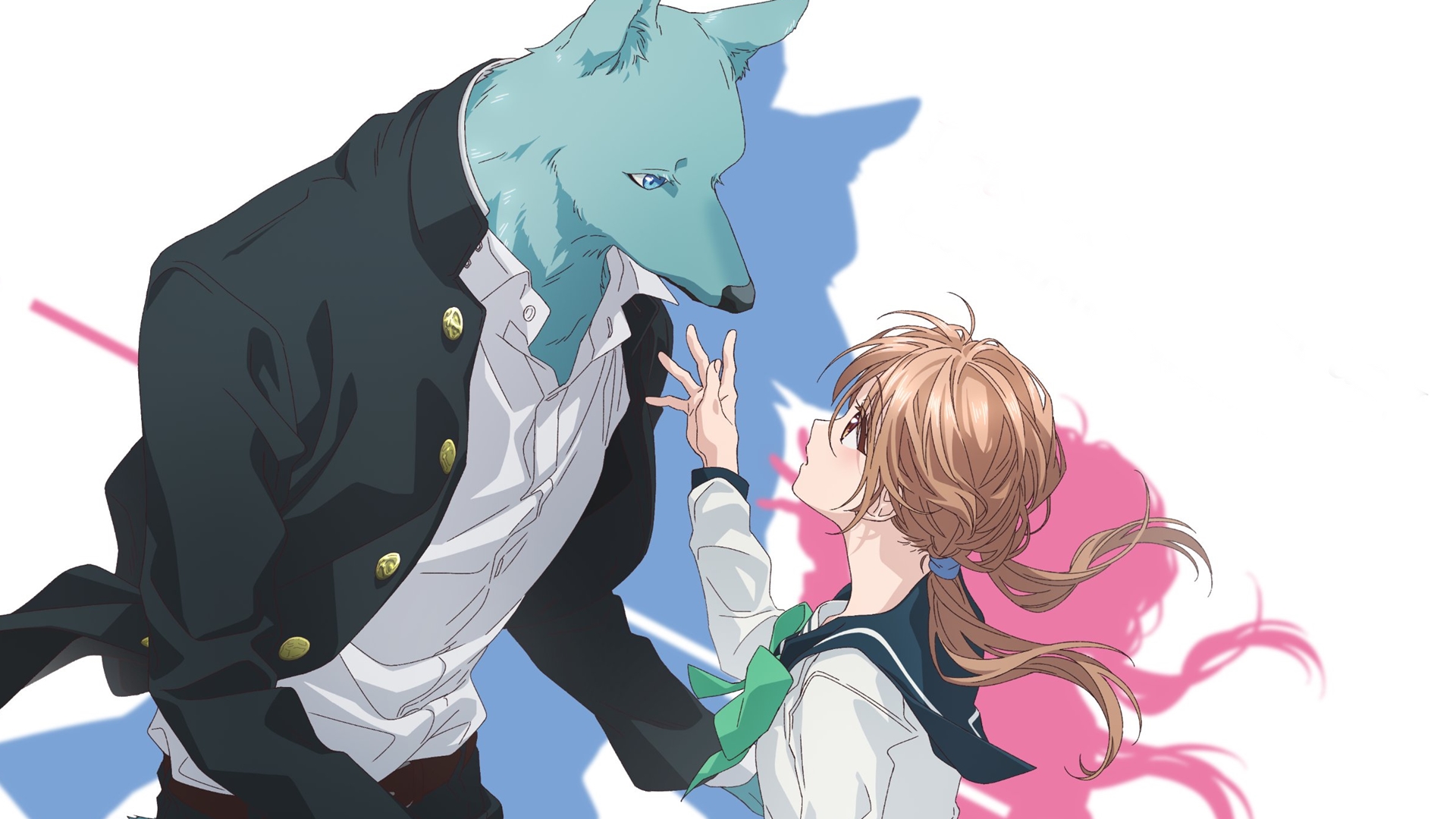 El amor furro llega en Kimi to Koete Koi ni Naru | SomosKudasai